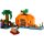 The Pumpkin Farm